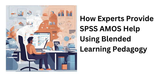 How Experts Provide SPSS AMOS Help using Blended Learning Pedagogy: